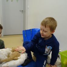 dsc00761