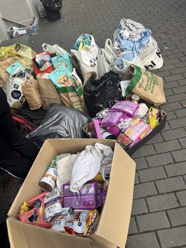 Pomagamy! Bo jak nie my to kto?